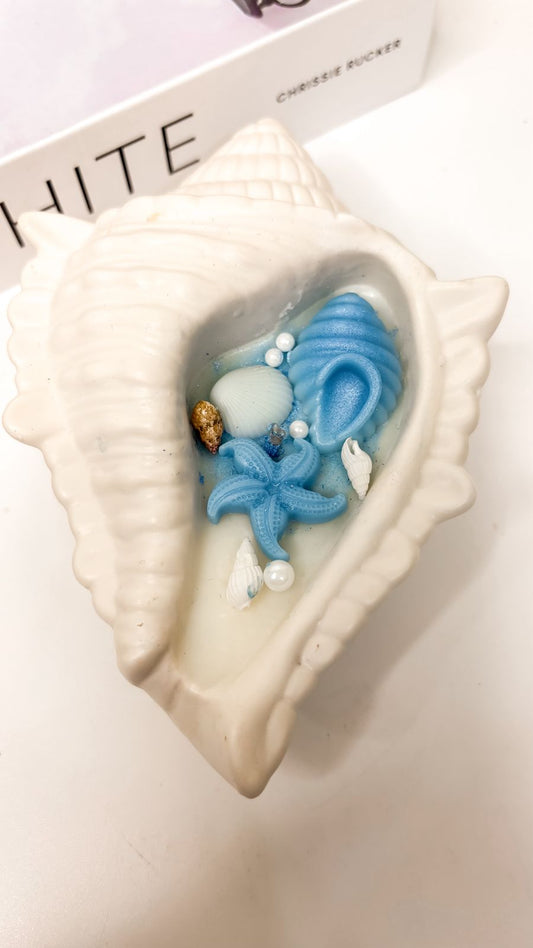 Shell Breeze