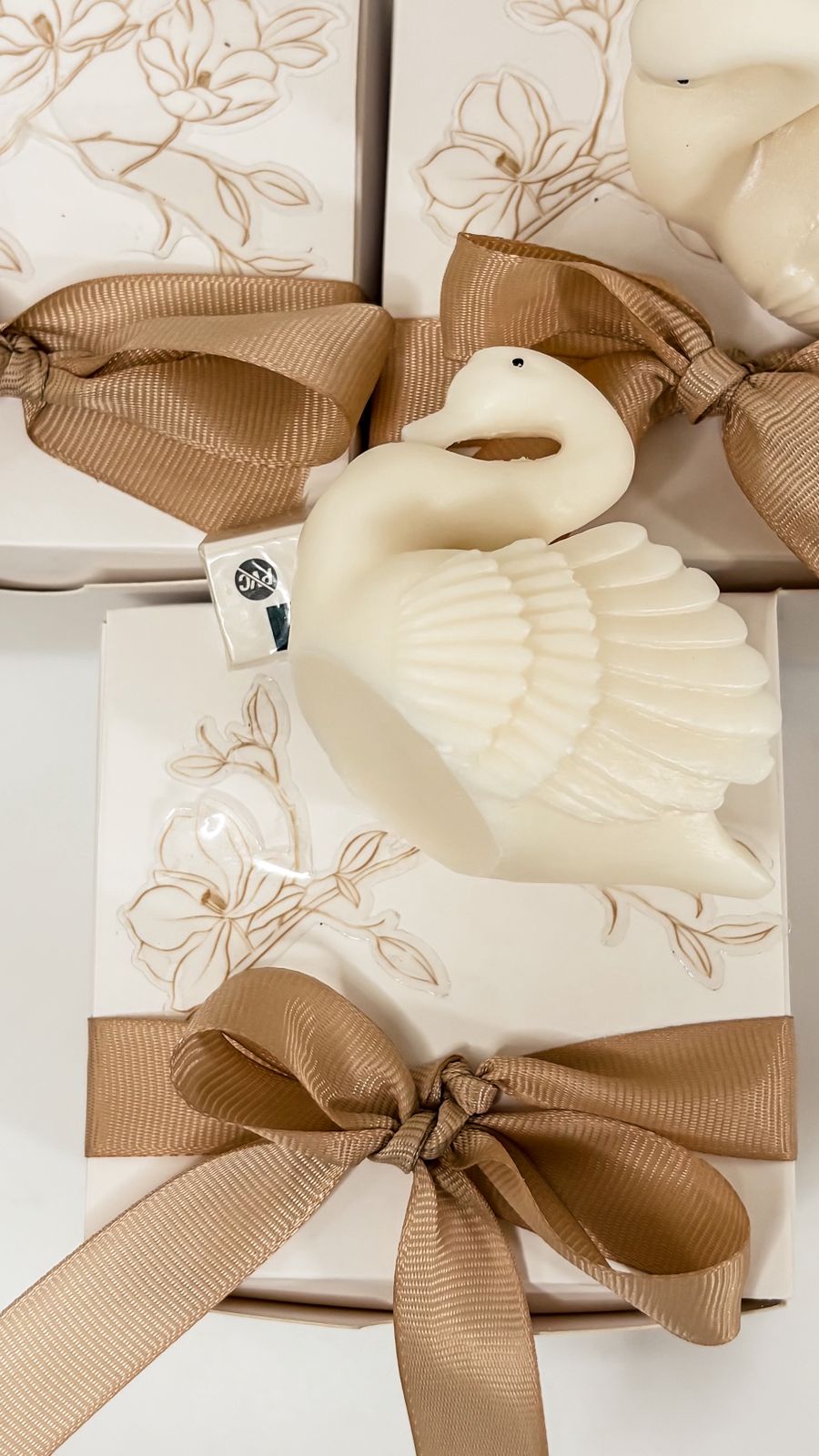 Swan Glow