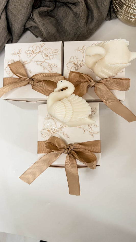 Swan Glow