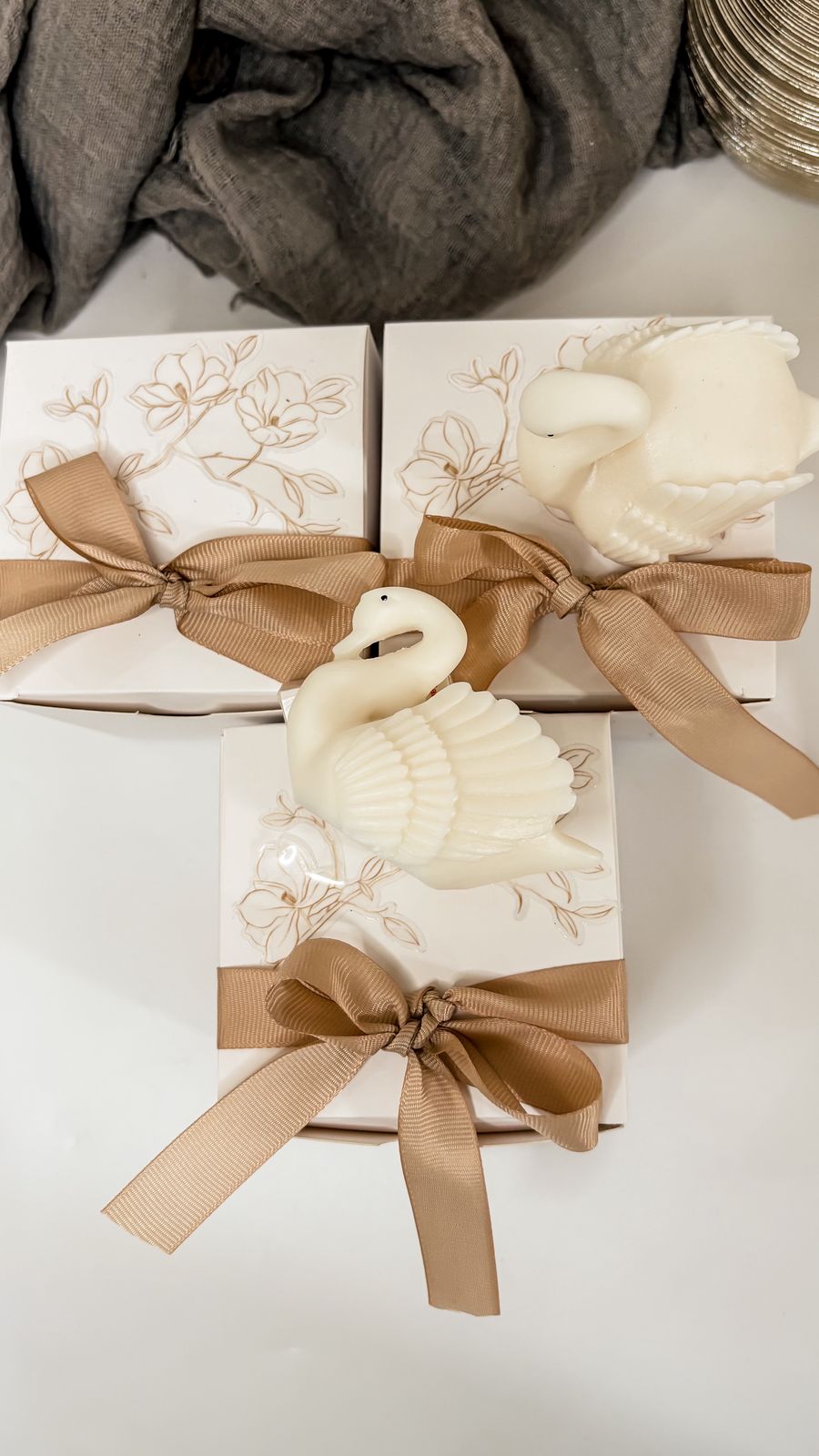 Swan Glow