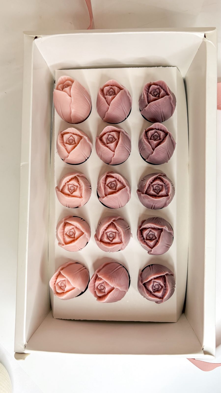 Tulip Bloom Box